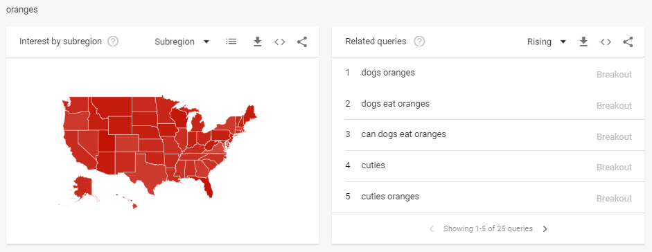 viewing search interest by region and related queries in Google Trends